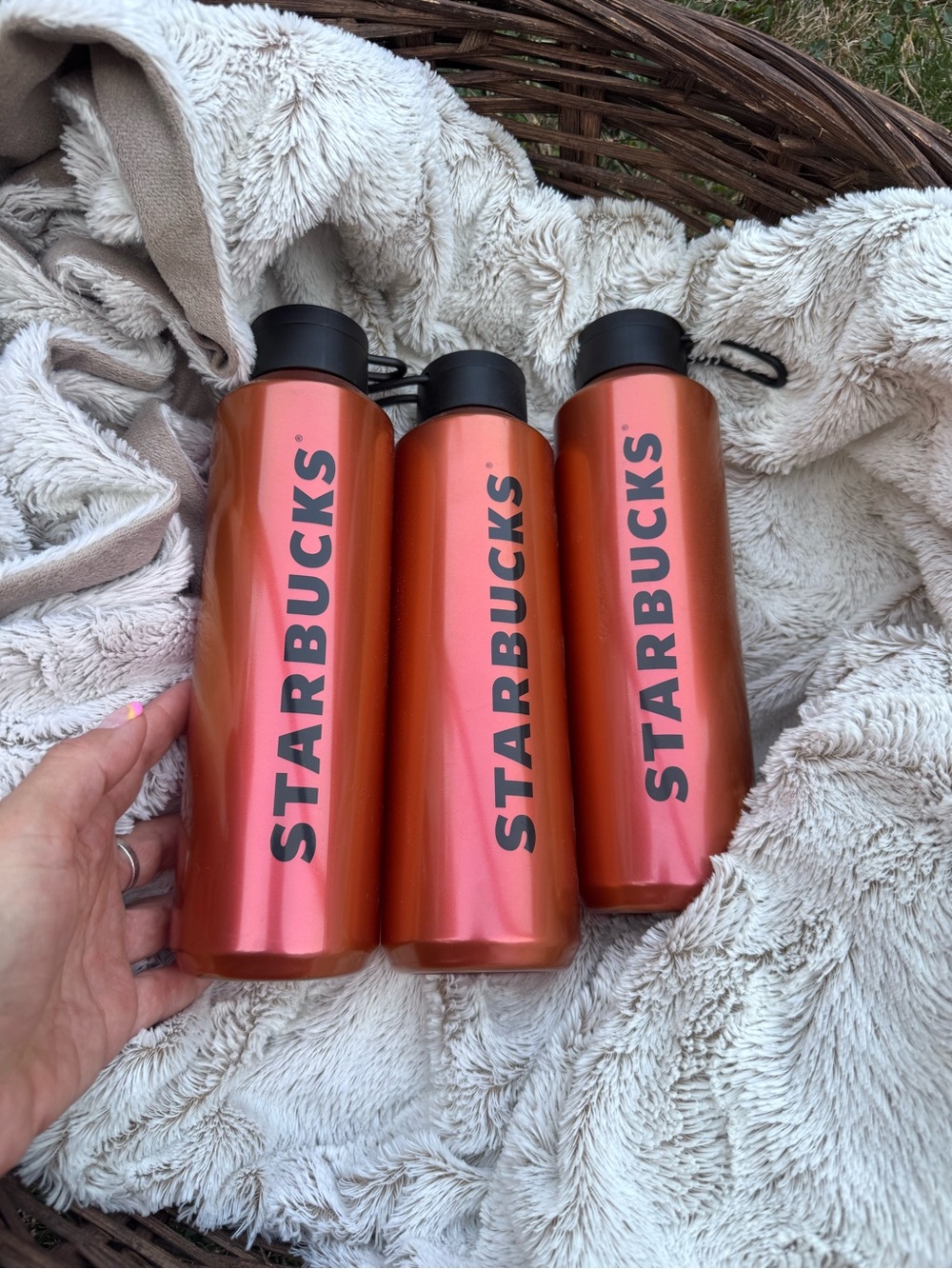 Starbucks Metallic Orange and Black Bottles - bundle
Of 3